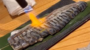 びじんにひとめぼれ