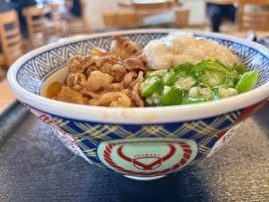 吉野家 16号線入間扇町屋店