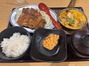 親子丼と鶏料理 鶏山賊 LECT広島店