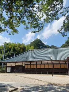 桜梅桃李