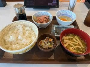 すき家 431号米子日吉津店