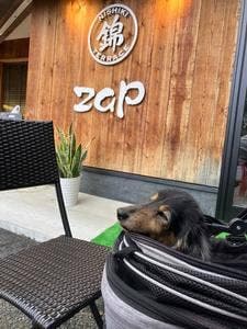 錦TERRACE zap