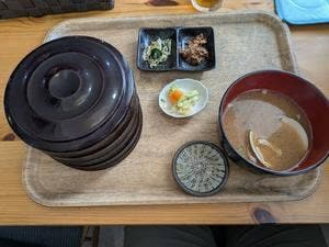 さかなめし