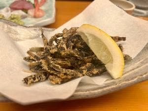 寿し良