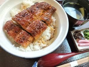 うなぎ処 うな豊 加古川店