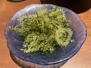 沖縄料理 あだん KITTE博多店