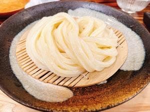 マタタビ饂飩店