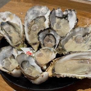 魚豪商 コダマ