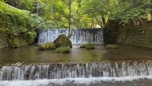貴船 水源の森 天山