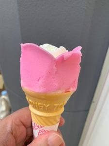 児玉冷果