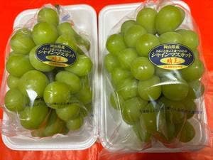 やまがき 大開店