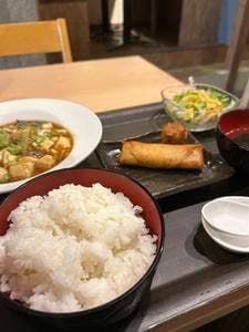 星が樹