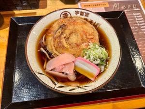 駅前横丁 宇都宮きそば