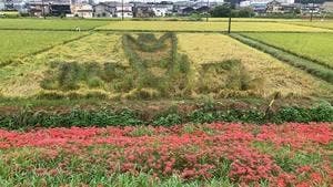 和製中華 ごいち326