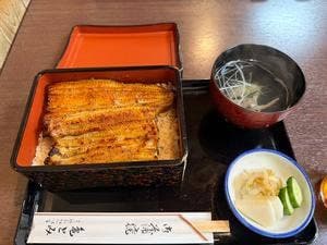 亀とみ