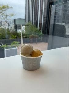 Eriko Osawa Earthly Gelato