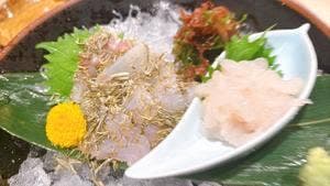 食肴旬菜 富一