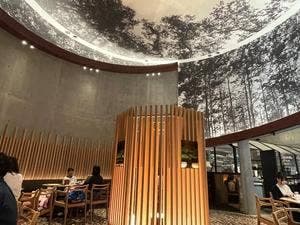 STONE Cafe