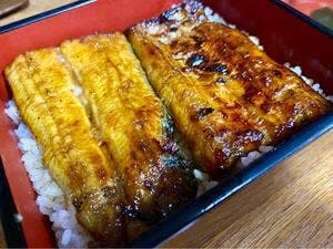 岬食堂