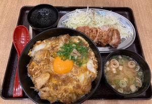親子丼と鶏料理 鶏山賊 LECT広島店