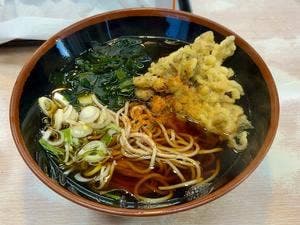 白樺