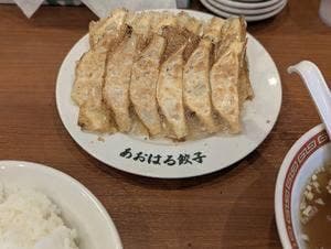 あおはる餃子