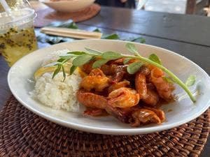 パーラーレッドドラゴン