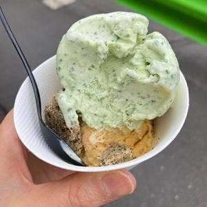 sweet olive 金木犀茶店