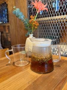 喫茶 植物最高