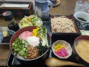蕎麦遊坊 山茂登