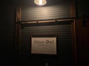 Shiny owl