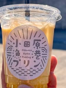 小田原漁港プリン