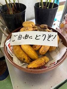 うちなー家庭料理 みなみ