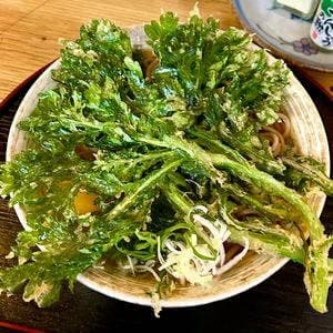 立ち喰いそば あさだけ