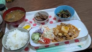 ホットライン