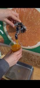 フルーツパーラー伊豆旬実堂