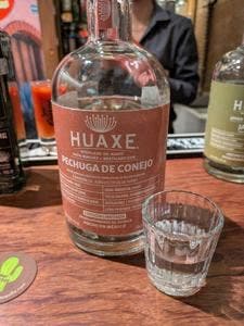 Bar Cactus
