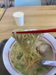 スガキヤ 明和イオンモール店