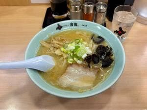 ラーメンの寳龍 アピア店