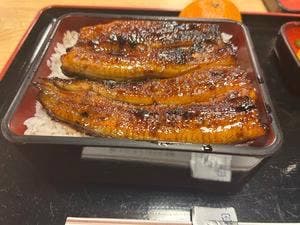 うなぎ曳馬