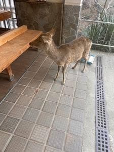 若草山パレット