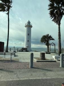 魚太郎 本店 市場食堂