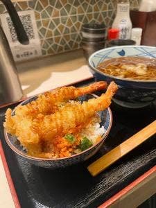 とろぼっち