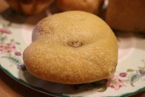 はつたもの