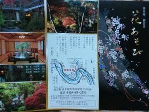花あそび