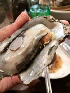 かき小屋フィーバー 烏森店