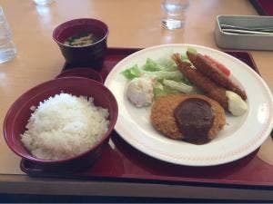 ファミリーレストラン ジョイフル 秋津店