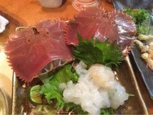 光寿司