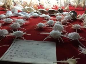 洋酒喫茶 貝の店 ロダン