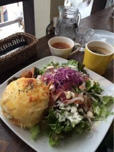 ブルーチューリップ